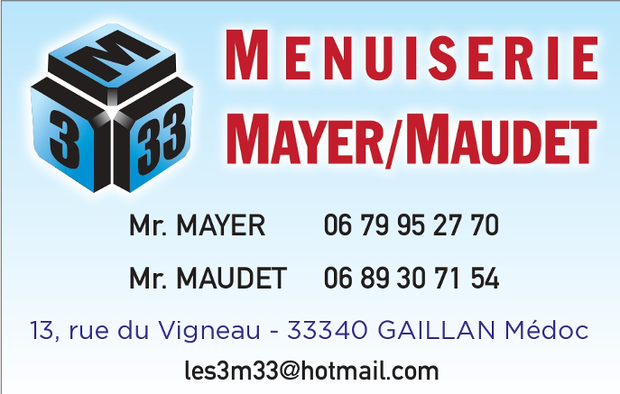 Logo Carte de visite 3M33